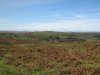 Sunday Moor Walk 6.10.13 011.jpg