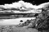 Seascape-for-email.jpg