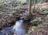 IMG_20131115_125707.jpg