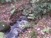 IMG_20131115_125809.jpg