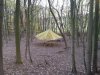 IMG_20131115_155256.jpg