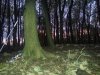 IMG_20131116_072321.jpg