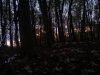 IMG_20131116_072344.jpg