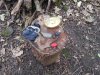 IMG_20131116_084716.jpg