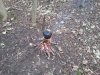 IMG_20131116_085719.jpg
