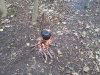 IMG_20131116_085748.jpg