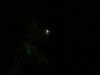 IMG_20131116_214436.jpg
