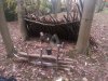 IMG_20131117_122241.jpg