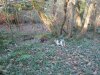 Nutmegs 1st Birthday 012.jpg