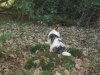 Nutmegs 1st Birthday 020.jpg