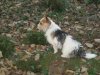 Nutmegs 1st Birthday 021.jpg