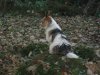 Nutmegs 1st Birthday 022.jpg