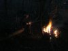 Nutmegs 1st Birthday 026.jpg