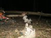Nutmegs 1st Birthday 041.jpg