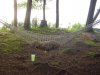 Dog-in-a-Hammock_photo_medium.jpg