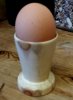 Egg cup 1.jpg