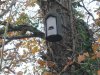 Parke Walk Ivan 12.13 015.jpg