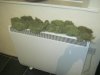DRYING 001.jpg