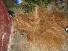 DRYING 002.jpg