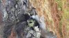 20131211_152005.jpg