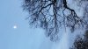 20131211_155603.jpg
