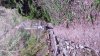20131214_111614.jpg