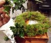 Christmas Wreath Tutorial 009 (600x514).jpg