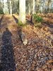 20131229_101555.jpg