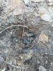 20131229_103424.jpg