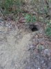 20131229_103428.jpg
