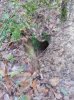 20131229_103436.jpg