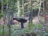 011.jpg