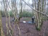 Shooting Woods Jan 2014 021.jpg
