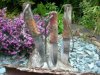 DSCN3087.jpg
