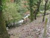 Chalk Ford Jan 2014 009.jpg
