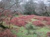 Chalk Ford Jan 2014 015.jpg