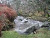 Chalk Ford Jan 2014 016.jpg