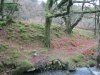 Chalk Ford Jan 2014 017.jpg