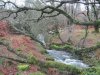 Chalk Ford Jan 2014 022.jpg