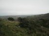 Chalk Ford Jan 2014 028.jpg