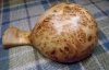 burr apple kuksa 001 (800x512).jpg