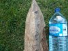 DSCN0435.jpg