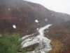 Real Rain.jpg