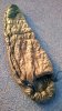 WP_20140305_003.jpg