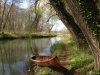 tarka on the bure.jpg