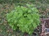 20140404_174141.jpg