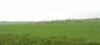 WP_20140404_14_04_28_Smart.jpg