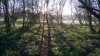 WP_20140405_06_58_23_Smart.jpg