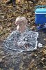 DSC_0184.jpg