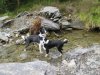 hendre ddu 030.jpg